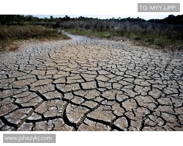 全球气候变化加剧极端天气频发 专家呼吁加强国际合作应对挑战